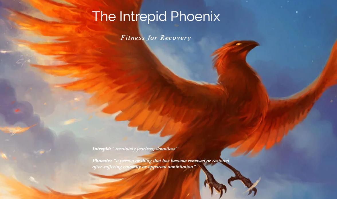 Addiction Program - The Intrepid Phoenix